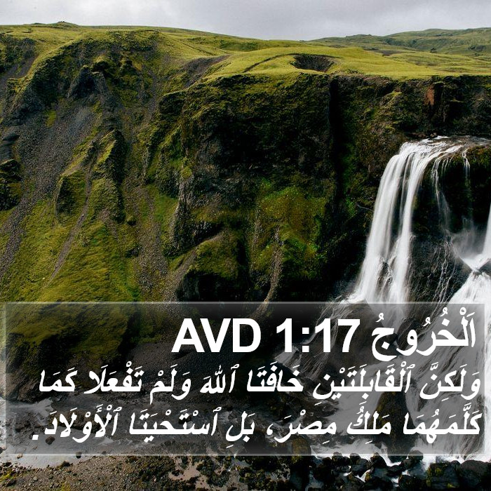 اَلْخُرُوجُ 1:17 AVD Bible Study