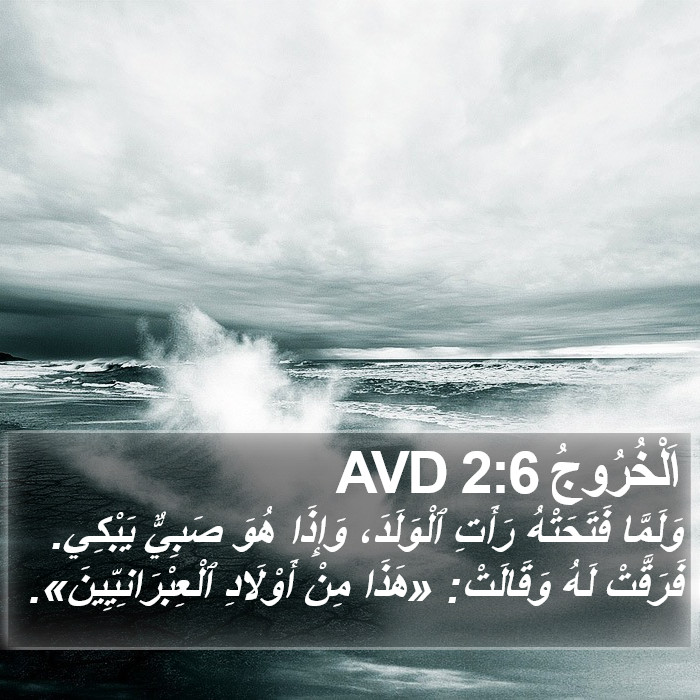 اَلْخُرُوجُ 2:6 AVD Bible Study