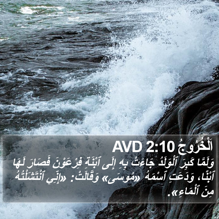 اَلْخُرُوجُ 2:10 AVD Bible Study