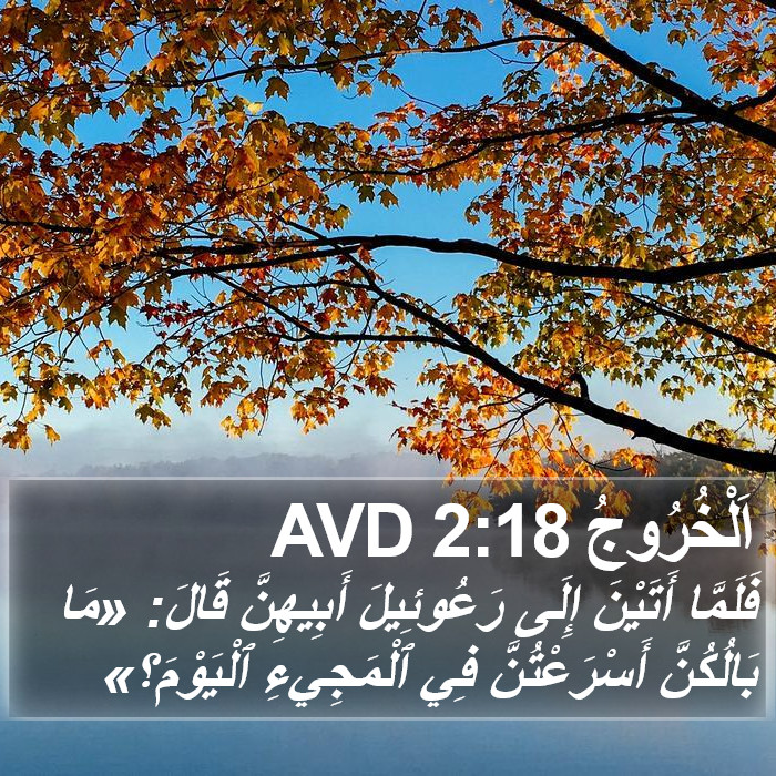 اَلْخُرُوجُ 2:18 AVD Bible Study