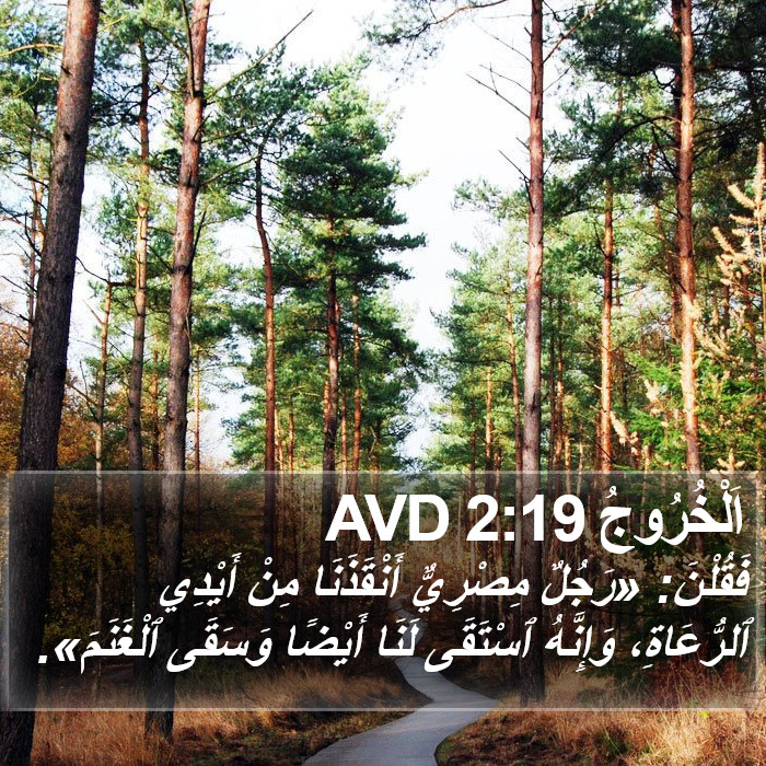 اَلْخُرُوجُ 2:19 AVD Bible Study