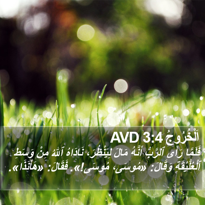 اَلْخُرُوجُ 3:4 AVD Bible Study