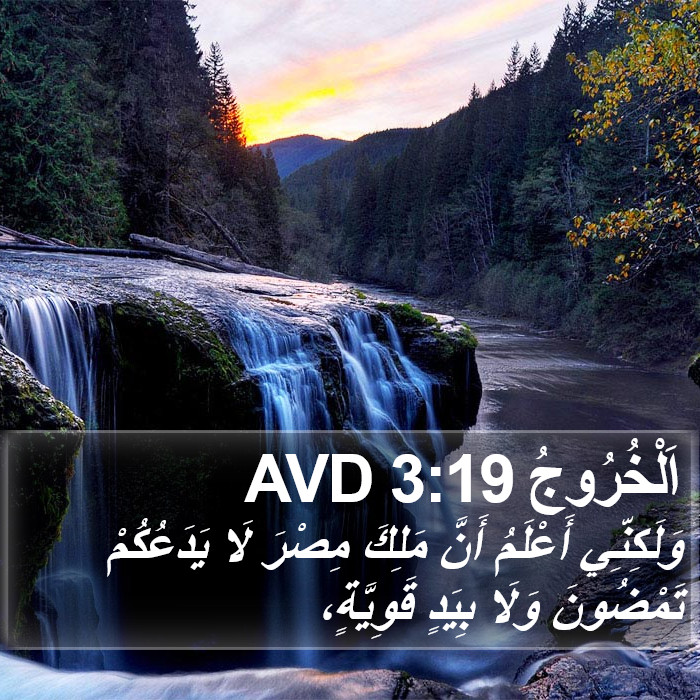 اَلْخُرُوجُ 3:19 AVD Bible Study