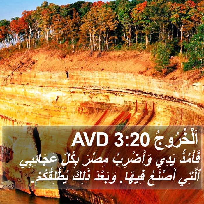 اَلْخُرُوجُ 3:20 AVD Bible Study