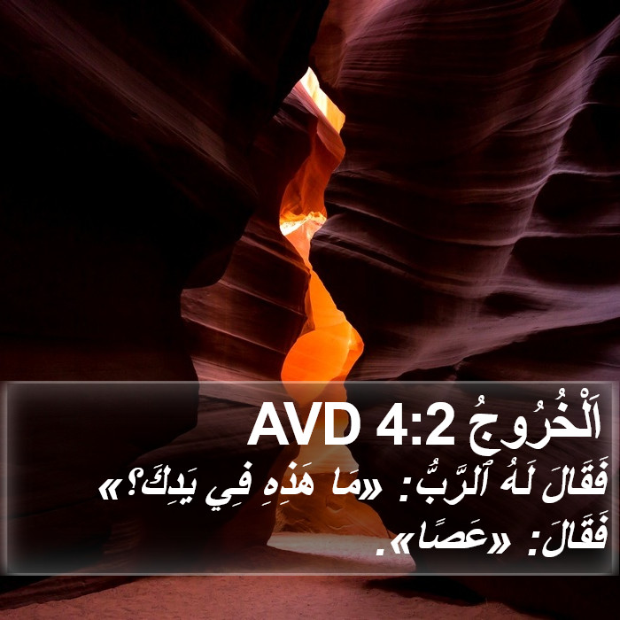 اَلْخُرُوجُ 4:2 AVD Bible Study