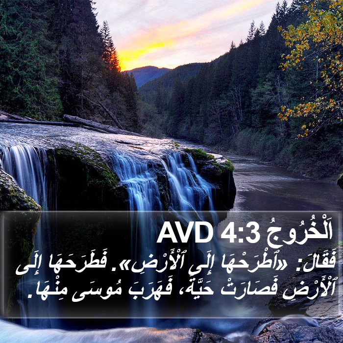 اَلْخُرُوجُ 4:3 AVD Bible Study