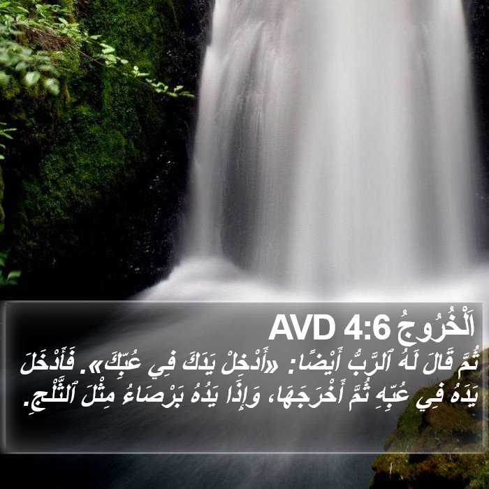 اَلْخُرُوجُ 4:6 AVD Bible Study