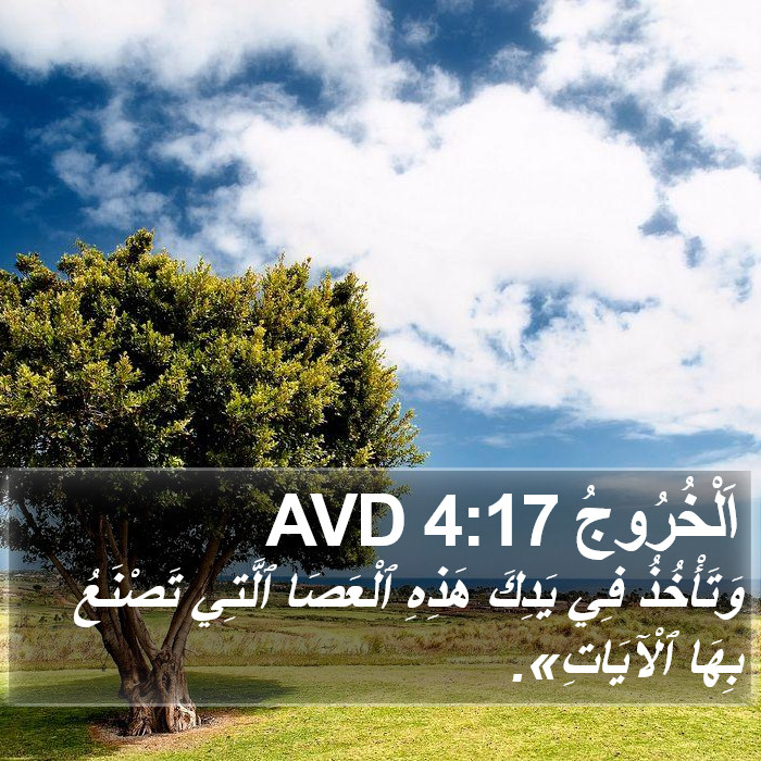 اَلْخُرُوجُ 4:17 AVD Bible Study