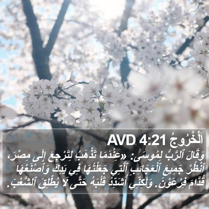 اَلْخُرُوجُ 4:21 AVD Bible Study