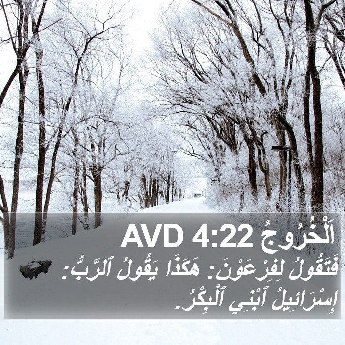 اَلْخُرُوجُ 4:22 AVD Bible Study