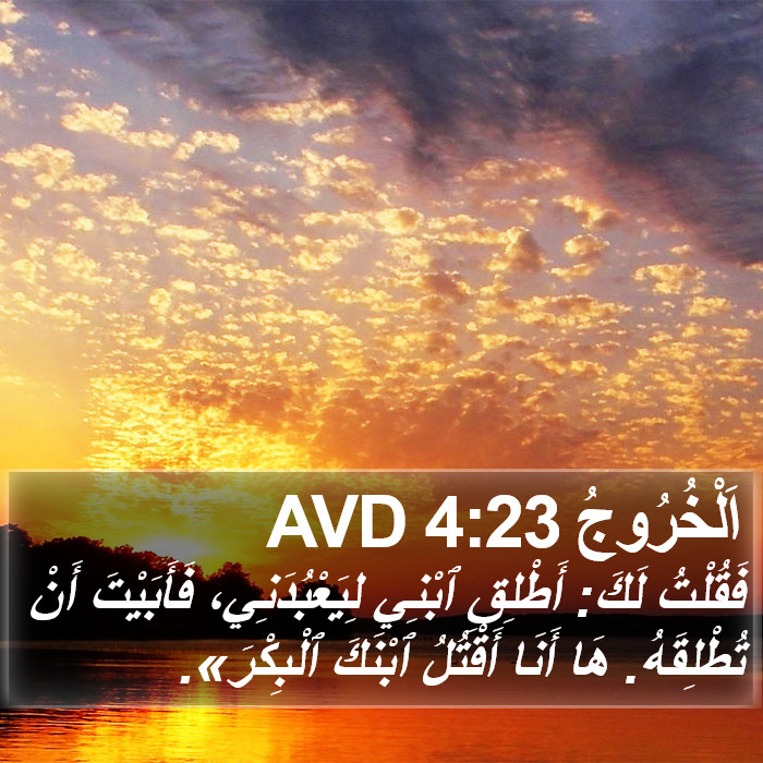 اَلْخُرُوجُ 4:23 AVD Bible Study