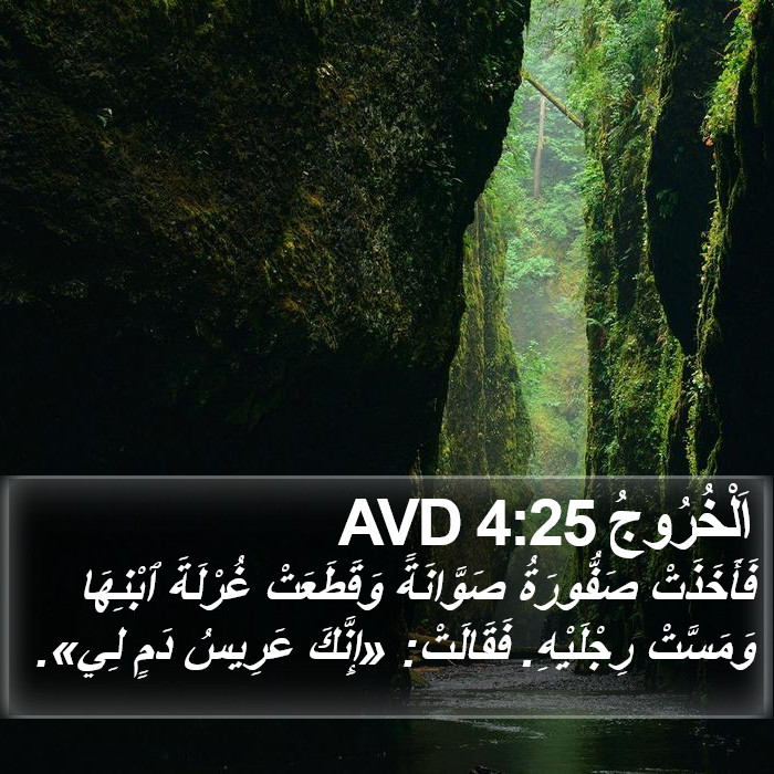 اَلْخُرُوجُ 4:25 AVD Bible Study