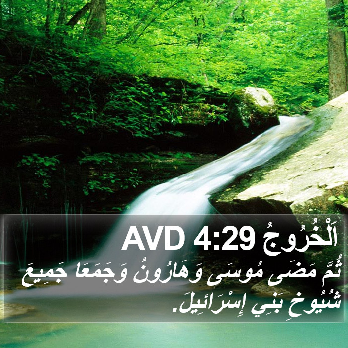 اَلْخُرُوجُ 4:29 AVD Bible Study