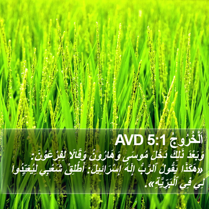 اَلْخُرُوجُ 5:1 AVD Bible Study