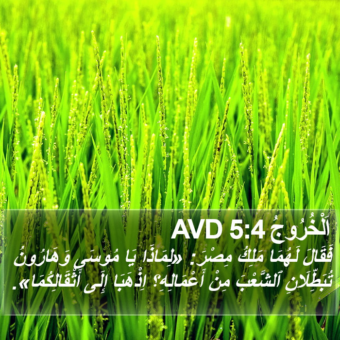 اَلْخُرُوجُ 5:4 AVD Bible Study