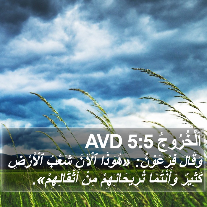 اَلْخُرُوجُ 5:5 AVD Bible Study