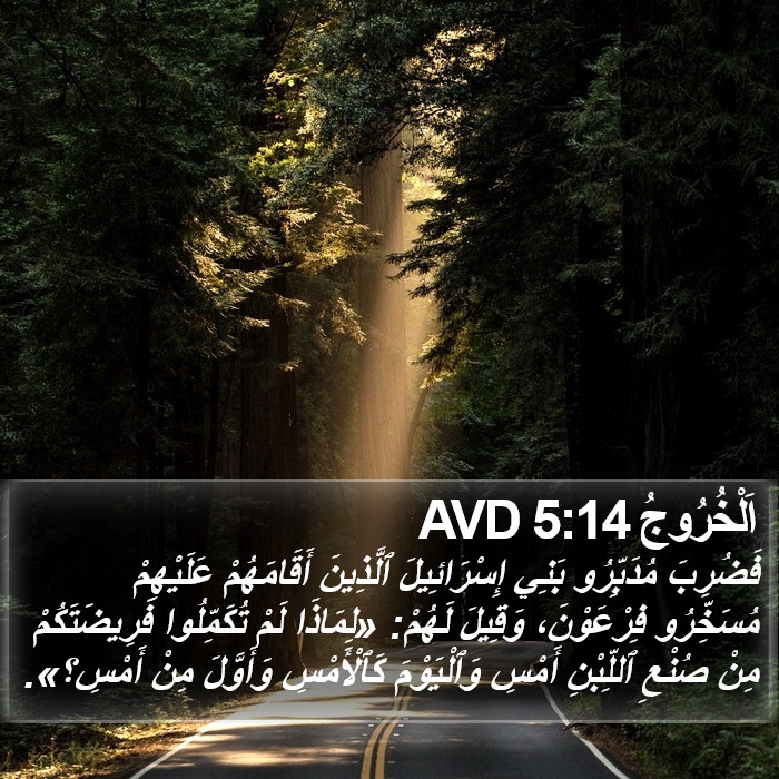 اَلْخُرُوجُ 5:14 AVD Bible Study