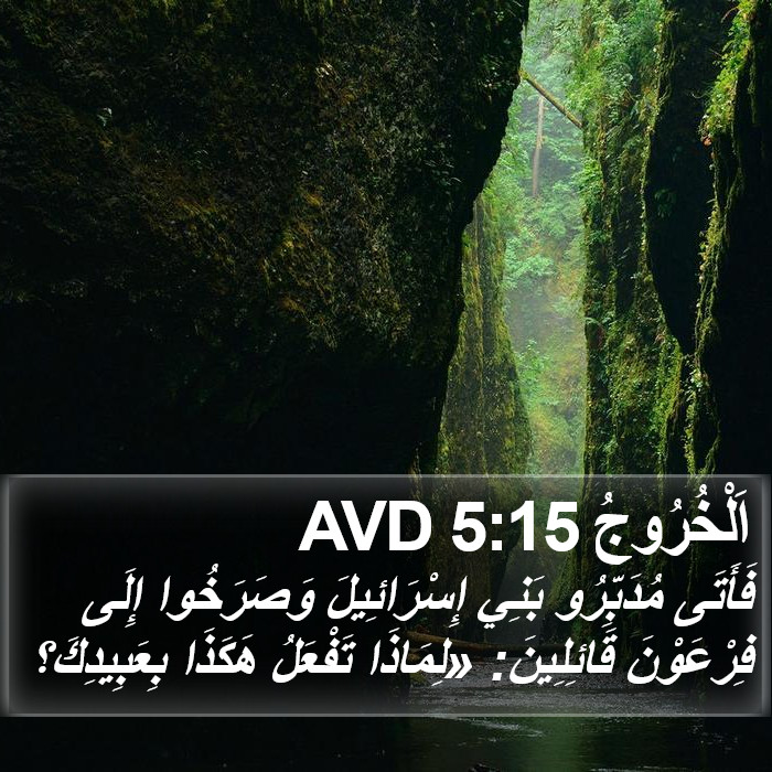 اَلْخُرُوجُ 5:15 AVD Bible Study