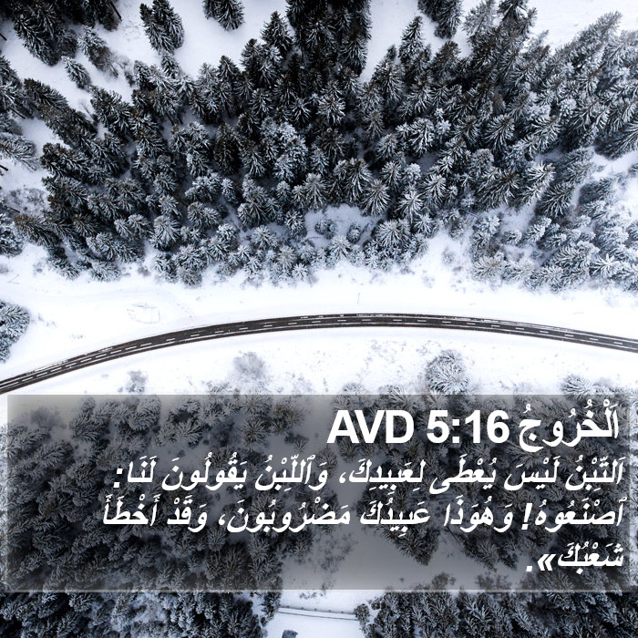 اَلْخُرُوجُ 5:16 AVD Bible Study