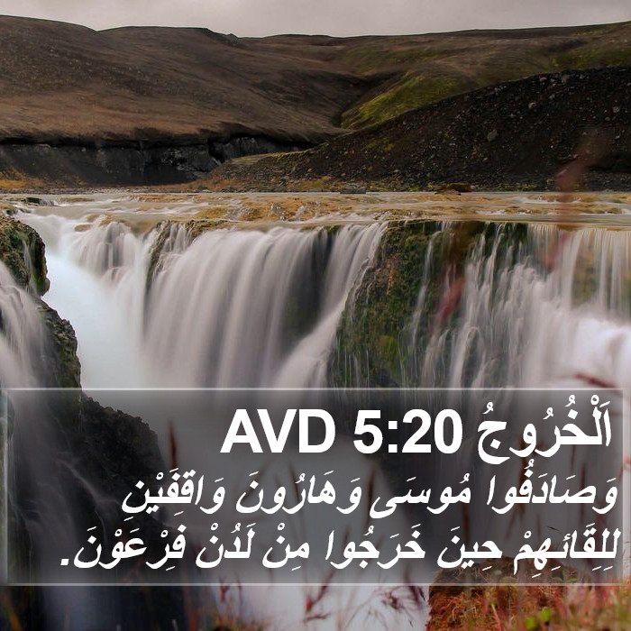 اَلْخُرُوجُ 5:20 AVD Bible Study