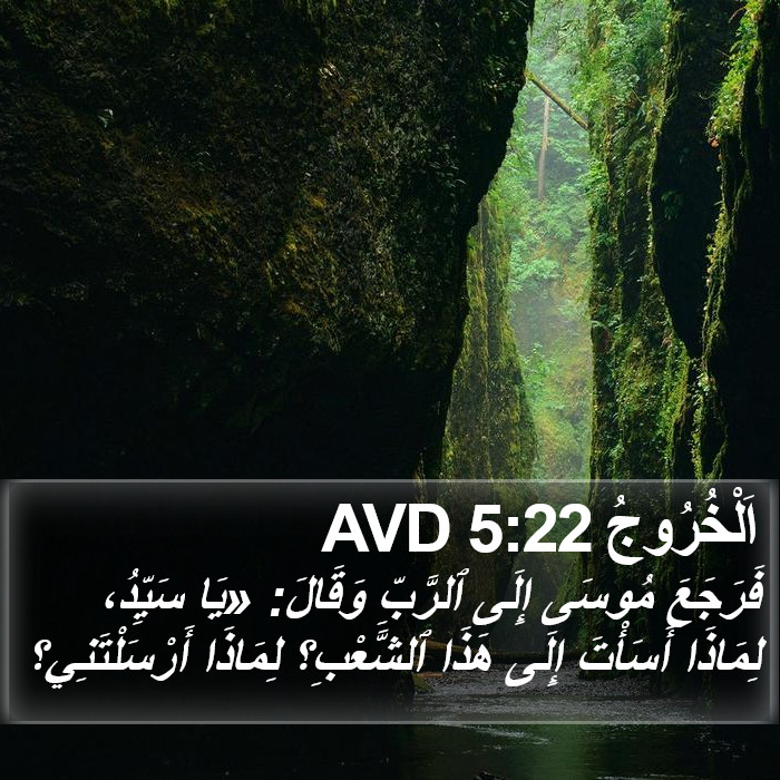 اَلْخُرُوجُ 5:22 AVD Bible Study