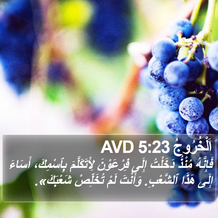 اَلْخُرُوجُ 5:23 AVD Bible Study