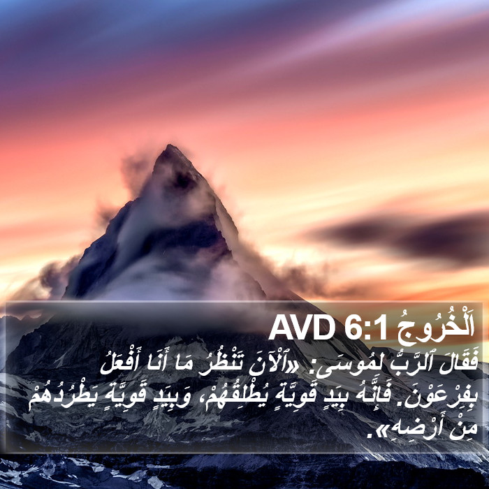 اَلْخُرُوجُ 6:1 AVD Bible Study