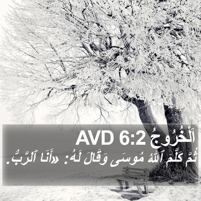 اَلْخُرُوجُ 6:2 AVD Bible Study