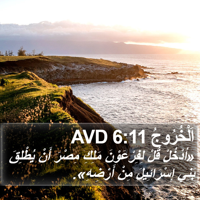 اَلْخُرُوجُ 6:11 AVD Bible Study