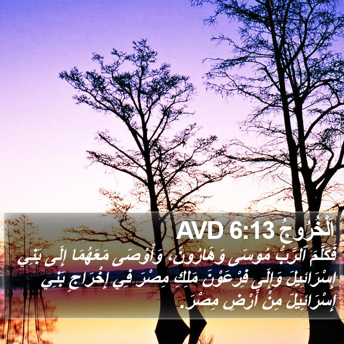 اَلْخُرُوجُ 6:13 AVD Bible Study