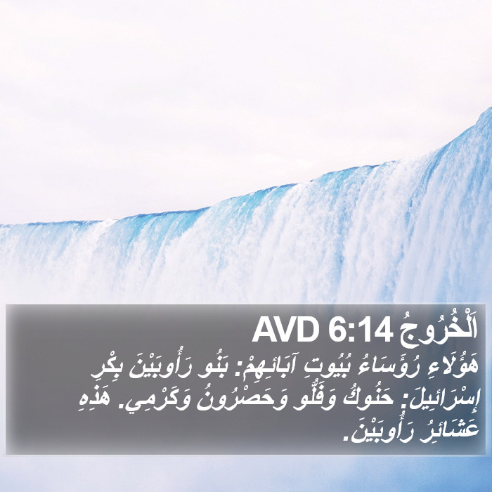 اَلْخُرُوجُ 6:14 AVD Bible Study