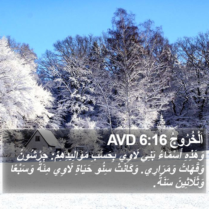 اَلْخُرُوجُ 6:16 AVD Bible Study