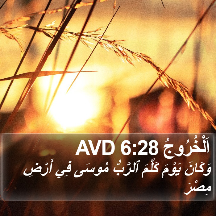 اَلْخُرُوجُ 6:28 AVD Bible Study