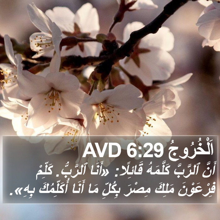 اَلْخُرُوجُ 6:29 AVD Bible Study