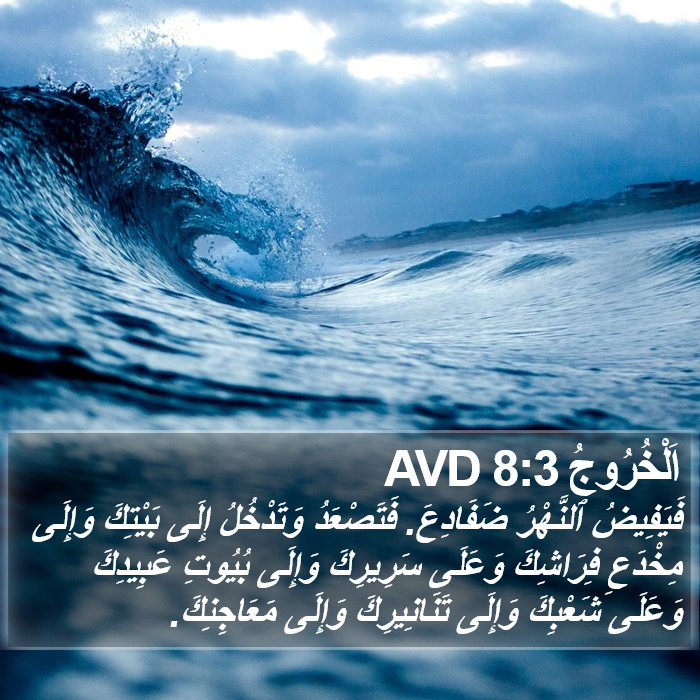 اَلْخُرُوجُ 8:3 AVD Bible Study