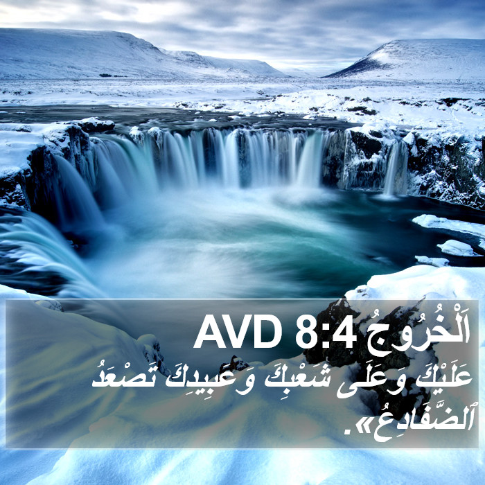 اَلْخُرُوجُ 8:4 AVD Bible Study