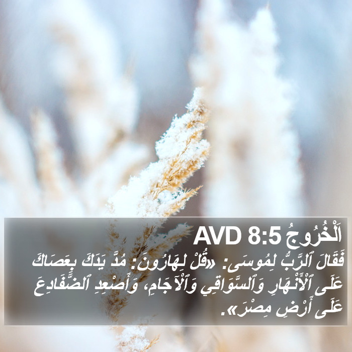 اَلْخُرُوجُ 8:5 AVD Bible Study