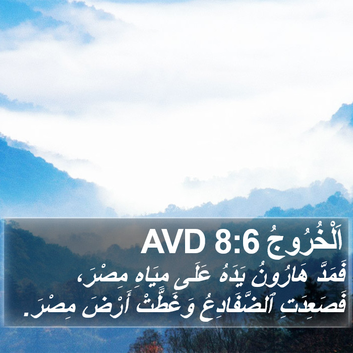 اَلْخُرُوجُ 8:6 AVD Bible Study