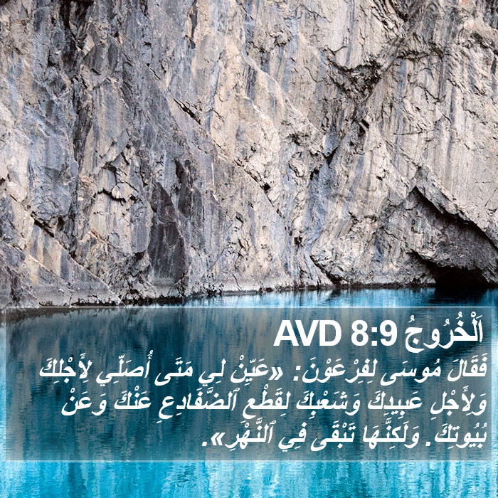 اَلْخُرُوجُ 8:9 AVD Bible Study
