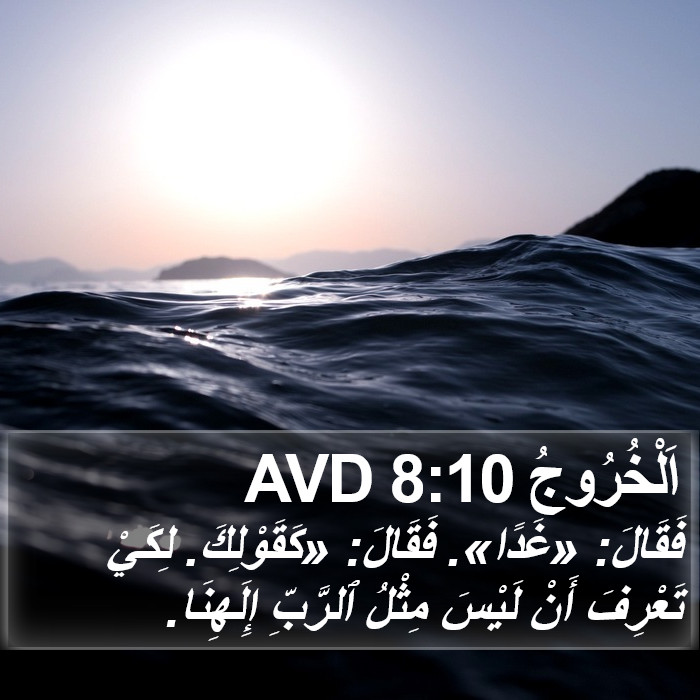 اَلْخُرُوجُ 8:10 AVD Bible Study