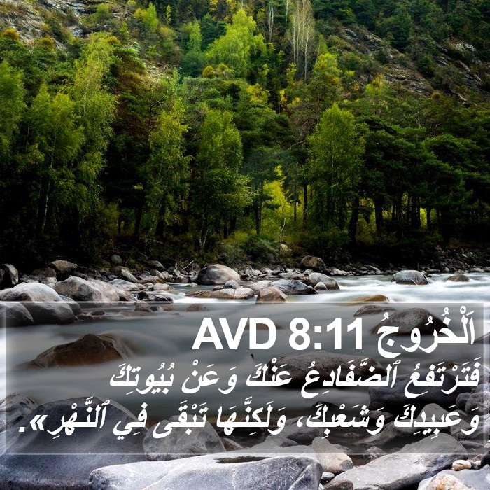 اَلْخُرُوجُ 8:11 AVD Bible Study