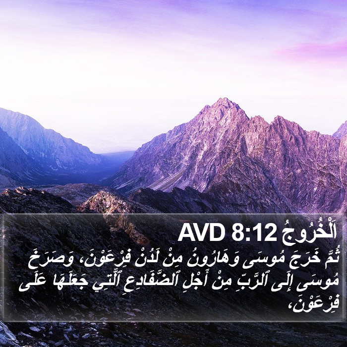 اَلْخُرُوجُ 8:12 AVD Bible Study