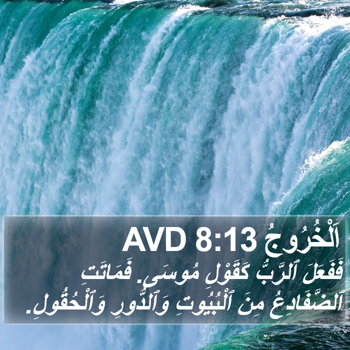 اَلْخُرُوجُ 8:13 AVD Bible Study