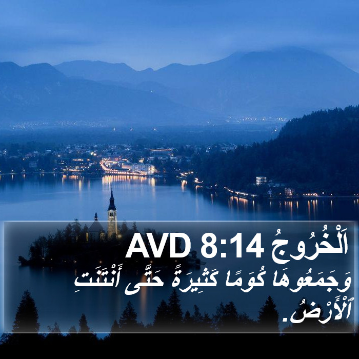 اَلْخُرُوجُ 8:14 AVD Bible Study
