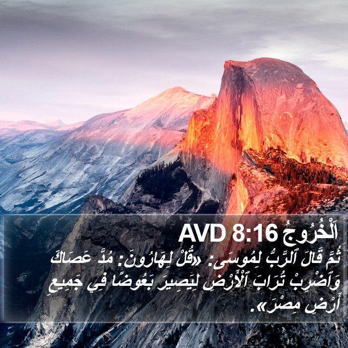اَلْخُرُوجُ 8:16 AVD Bible Study