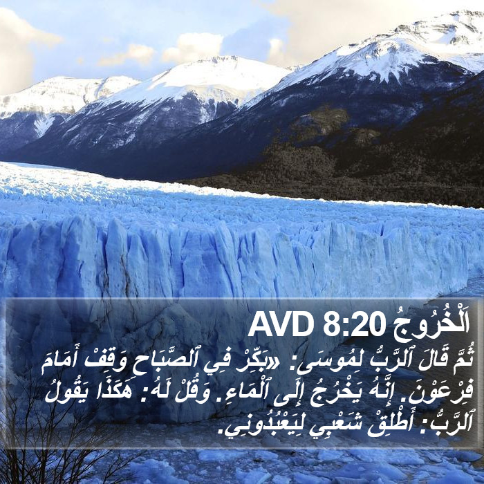 اَلْخُرُوجُ 8:20 AVD Bible Study