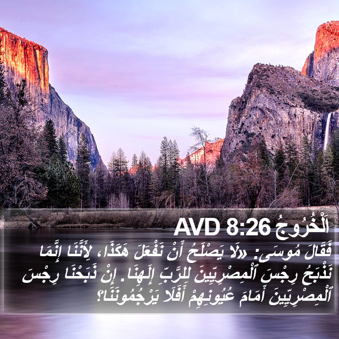 اَلْخُرُوجُ 8:26 AVD Bible Study