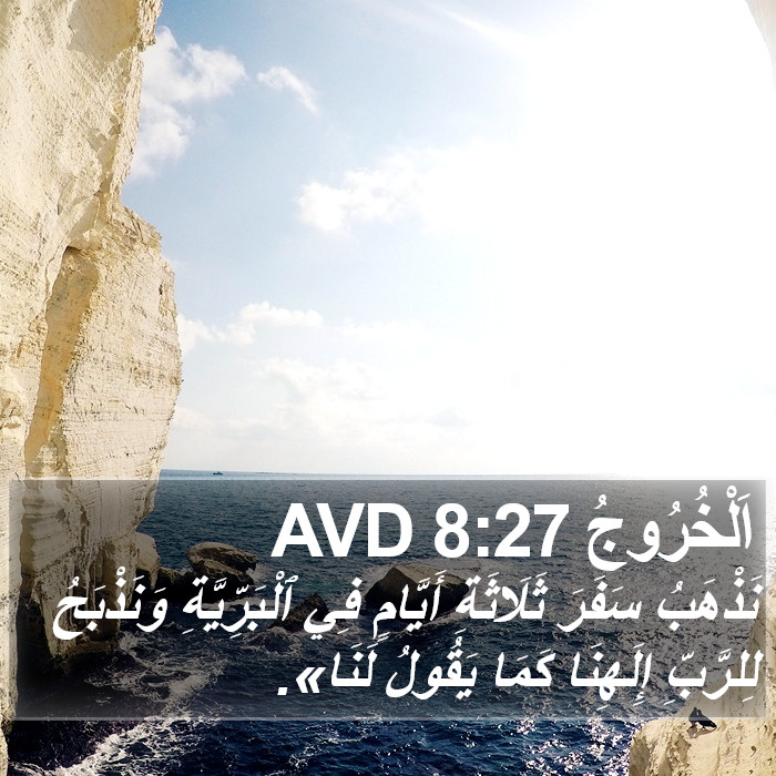 اَلْخُرُوجُ 8:27 AVD Bible Study