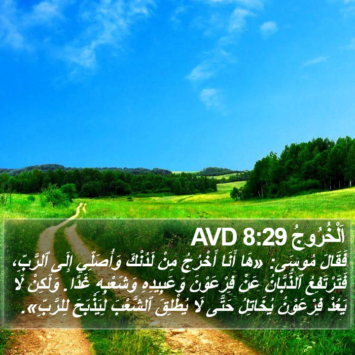 اَلْخُرُوجُ 8:29 AVD Bible Study