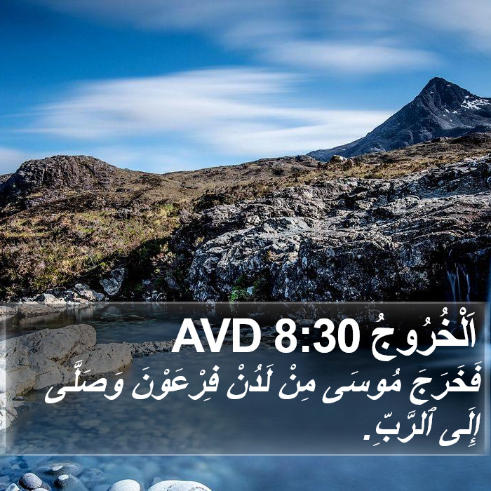 اَلْخُرُوجُ 8:30 AVD Bible Study